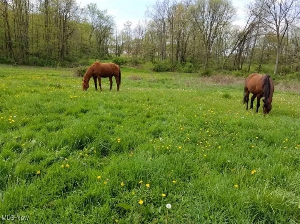 View of yard with a rural view