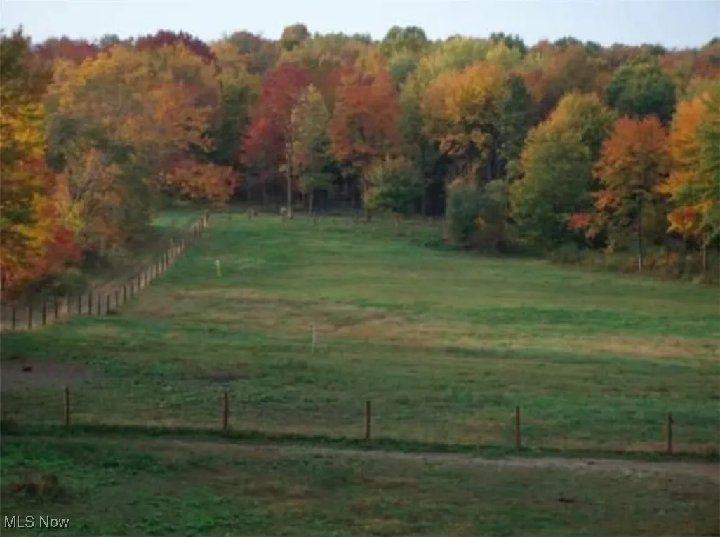 View of yard with a rural view