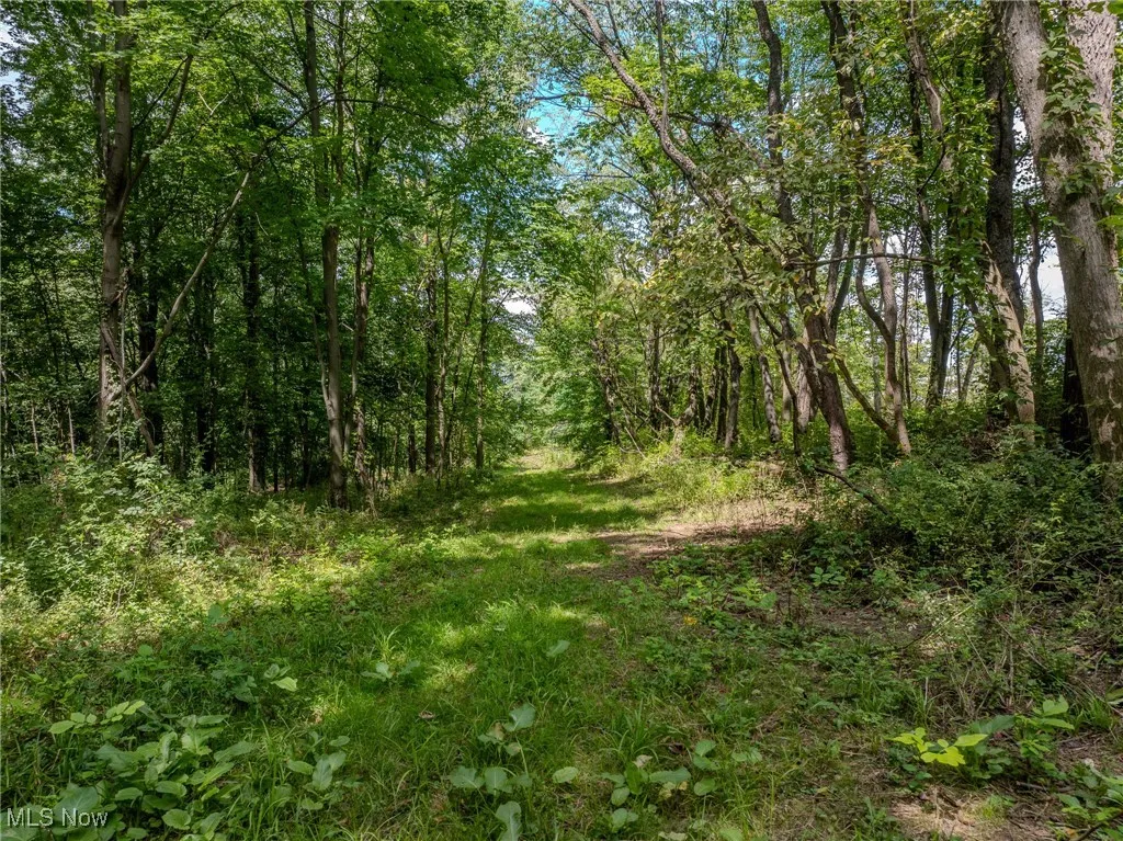 View of nature