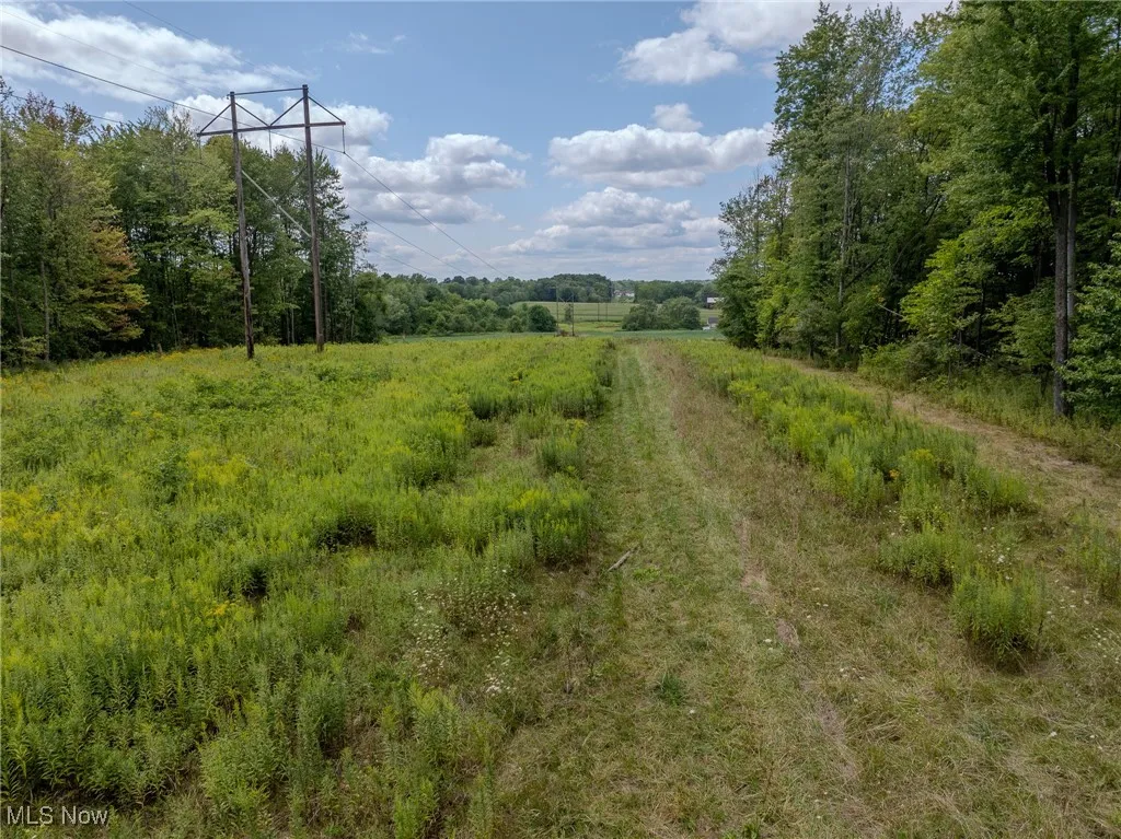 View of road