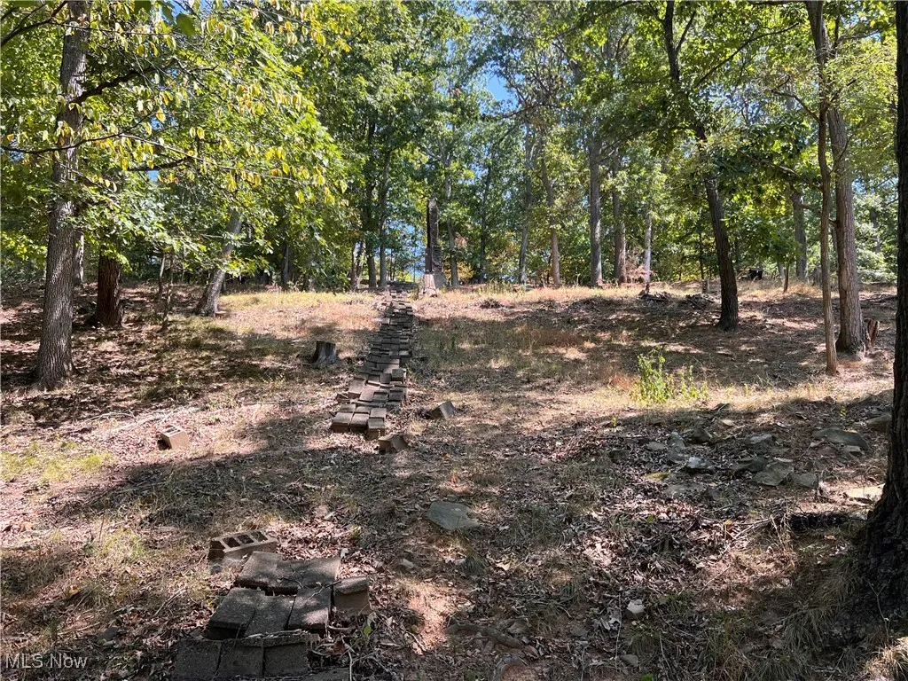 200 Club Drive, Washington, West Virginia,MLS Now Listing ID