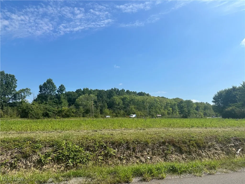 Naylor Lloyd Road, Liberty, Ohio,MLS Now Listing ID