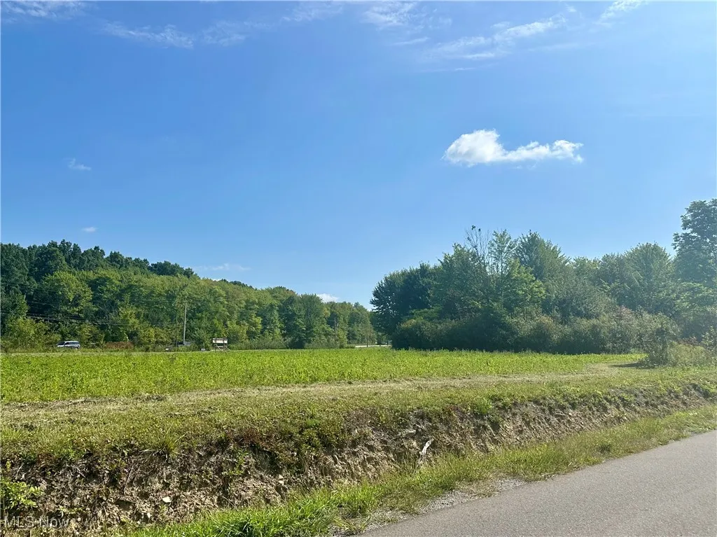 Naylor Lloyd Road, Liberty, Ohio,MLS Now Listing ID