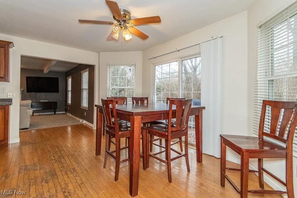 Dining room with light hardwood / wood-style flooring and ceiling fan