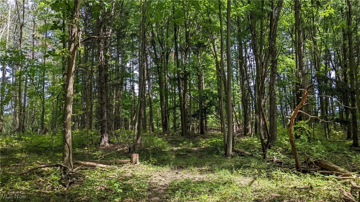 9376 Daniels Road, Seville, Ohio 44273,MLS Now Listing ID