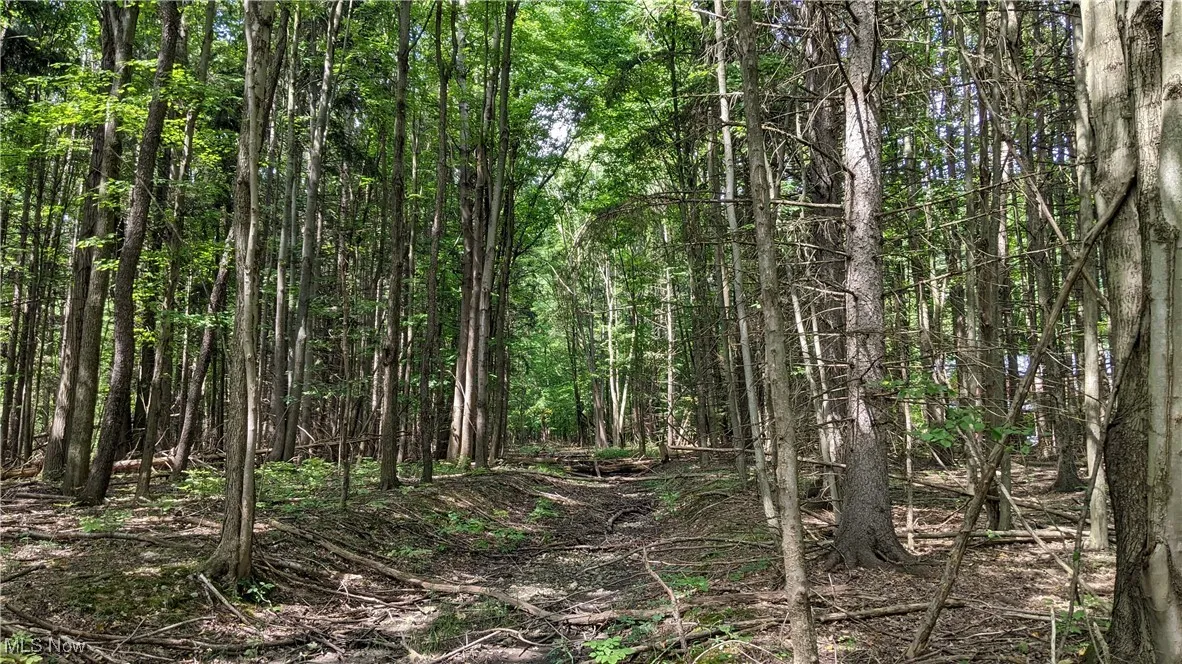 9376 Daniels Road, Seville, Ohio 44273,MLS Now Listing ID