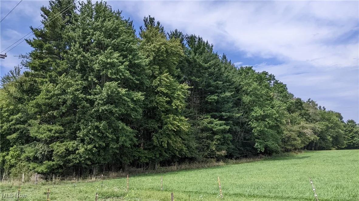 9376 Daniels Road, Seville, Ohio 44273,MLS Now Listing ID