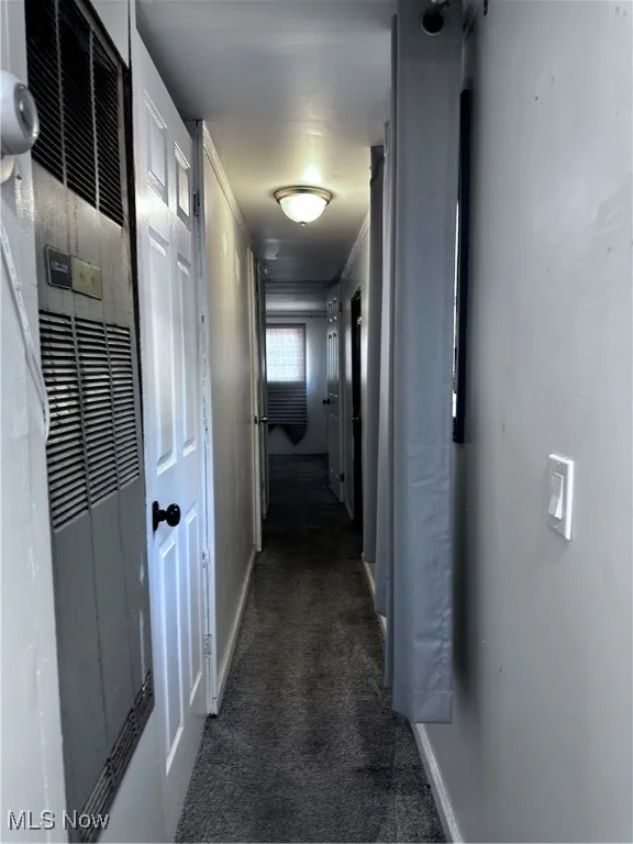Hall featuring ornamental molding and carpet floors