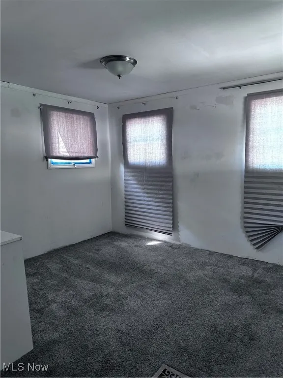 Unfurnished room with carpet and a healthy amount of sunlight