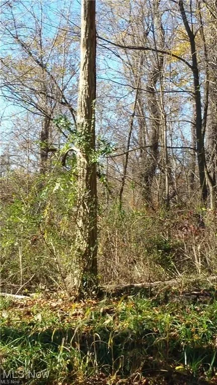 0 Watson Road, St Clairsville, Ohio 43950,MLS Now Listing ID