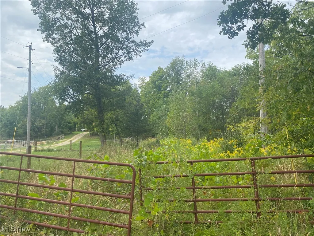 Gore Orphanage Road, New London, Ohio,MLS Now Listing ID