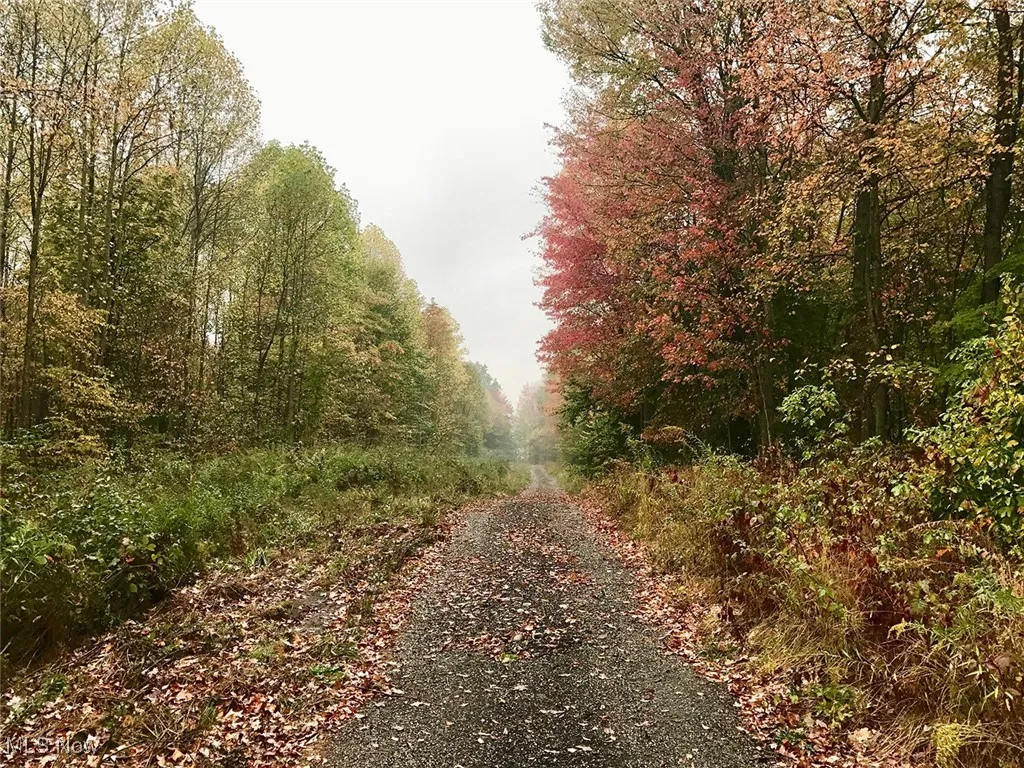 Bryant, Garrettsville, Ohio 44231,MLS Now Listing ID