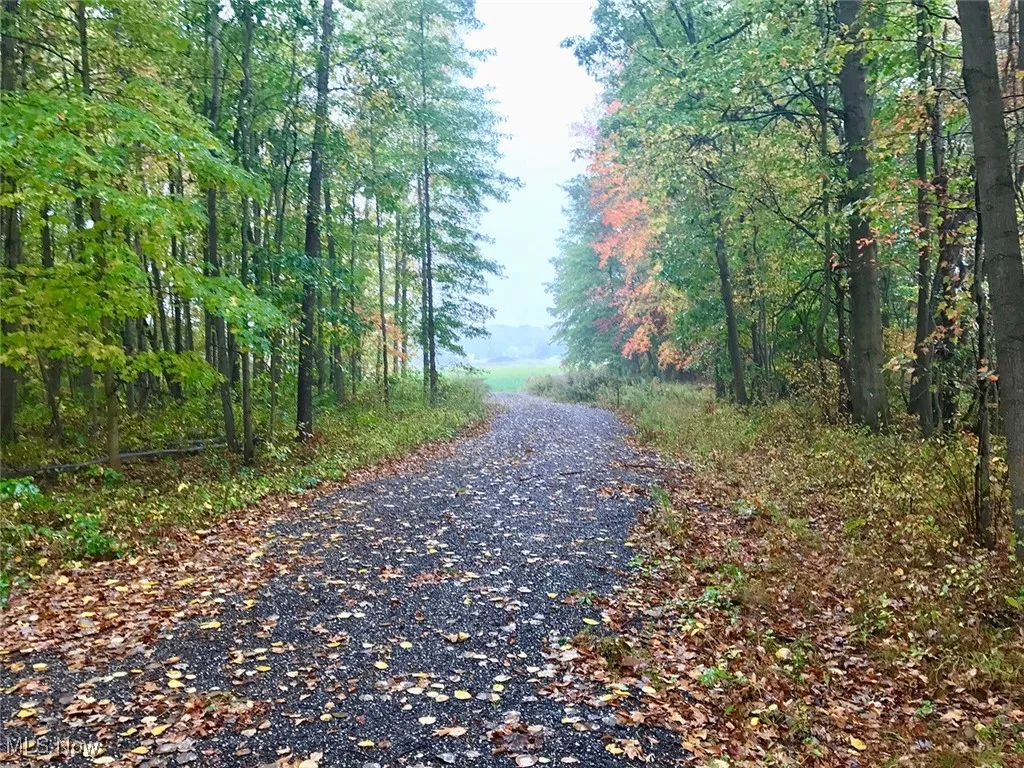 Bryant, Garrettsville, Ohio 44231,MLS Now Listing ID