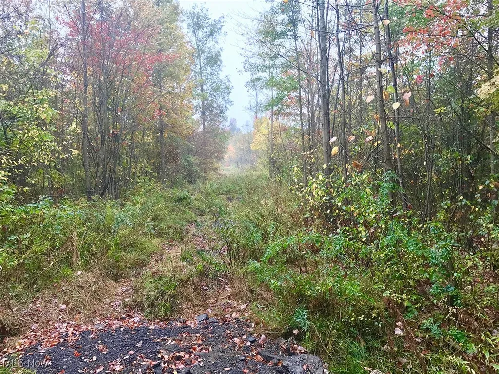 Bryant, Garrettsville, Ohio 44231,MLS Now Listing ID