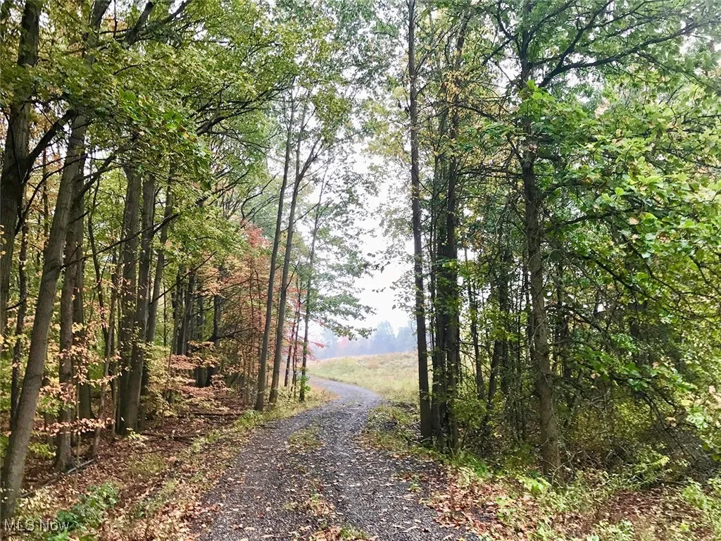 Bryant, Garrettsville, Ohio 44231,MLS Now Listing ID