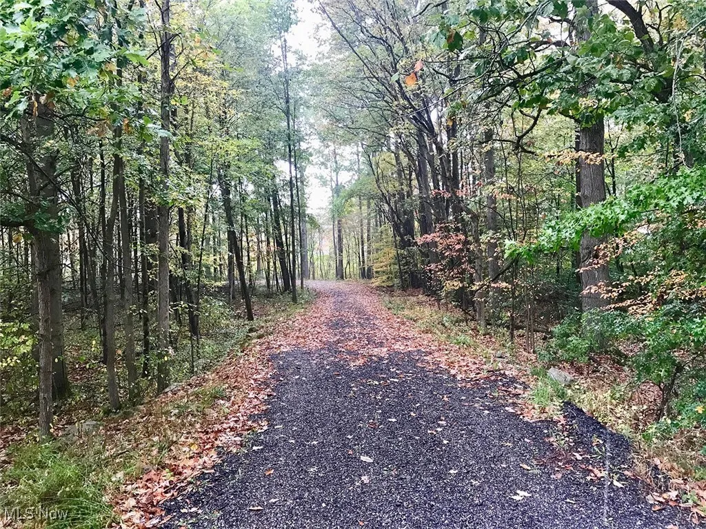 Bryant, Garrettsville, Ohio 44231,MLS Now Listing ID