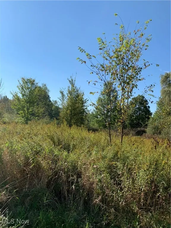 VL State Route 82, Garrettsville, Ohio 44231,MLS Now Listing ID