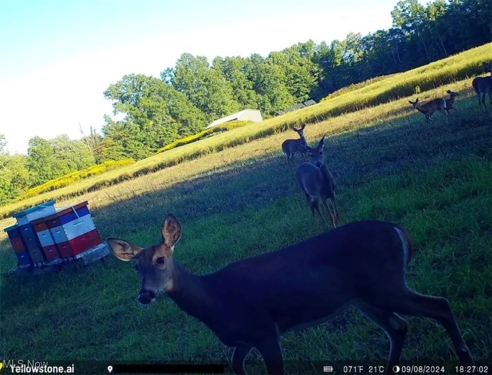 Bryant, Garrettsville, Ohio 44231,MLS Now Listing ID