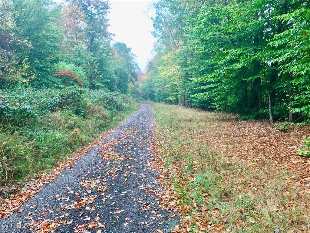 Bryant, Garrettsville, Ohio 44231,MLS Now Listing ID