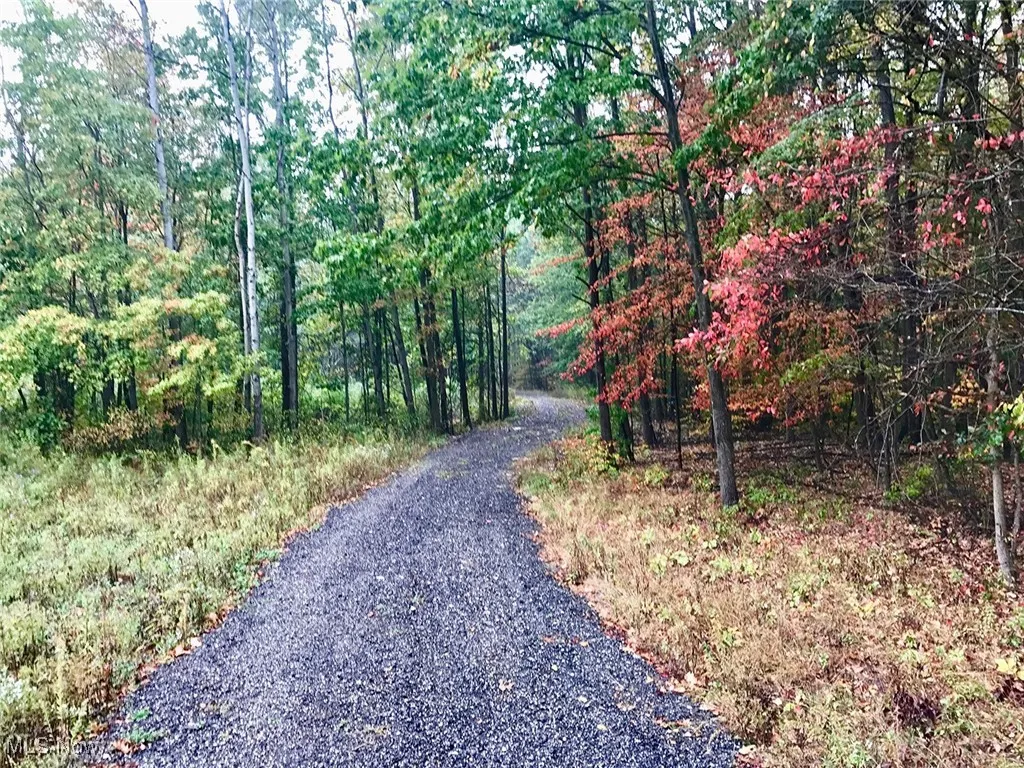 Bryant, Garrettsville, Ohio 44231,MLS Now Listing ID