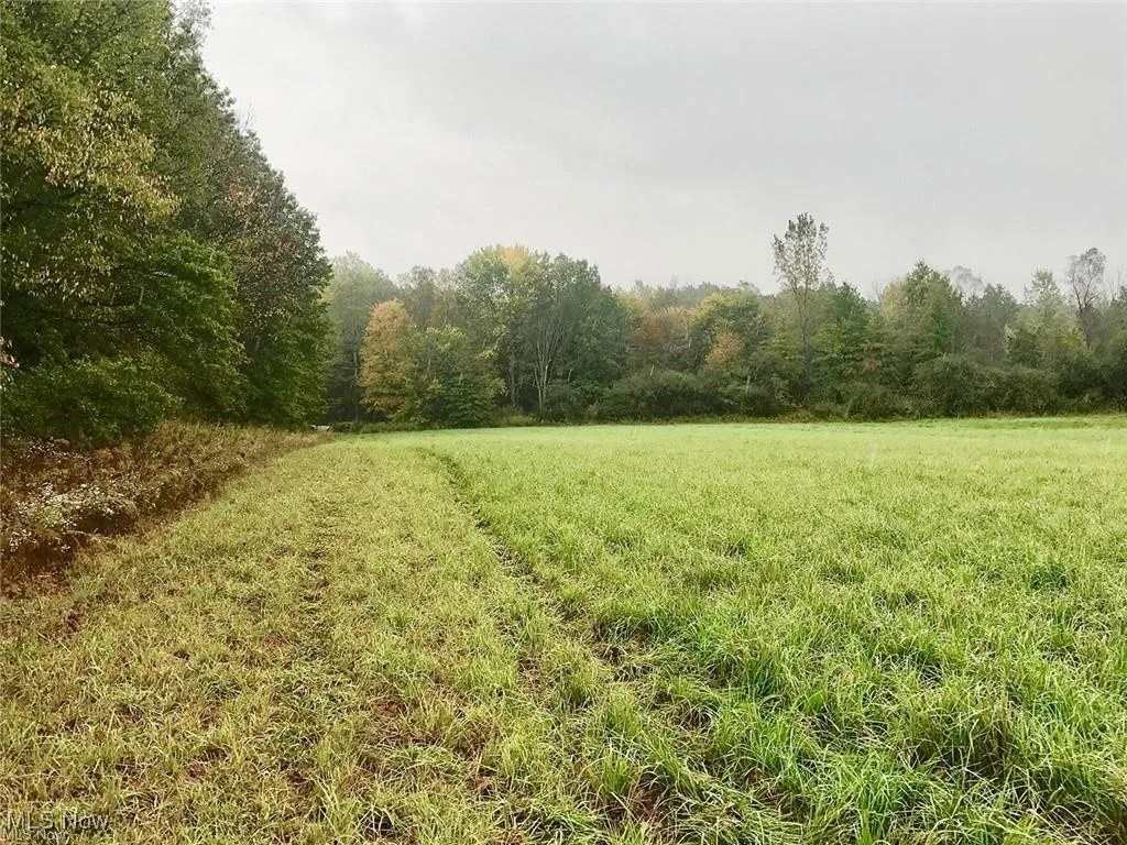 View of yard featuring a rural view