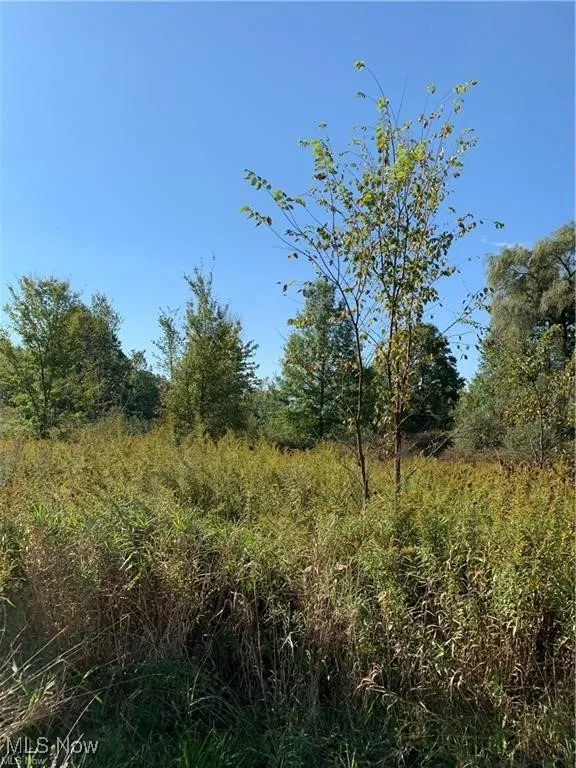 View of nature
