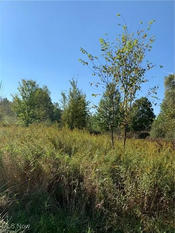View of nature