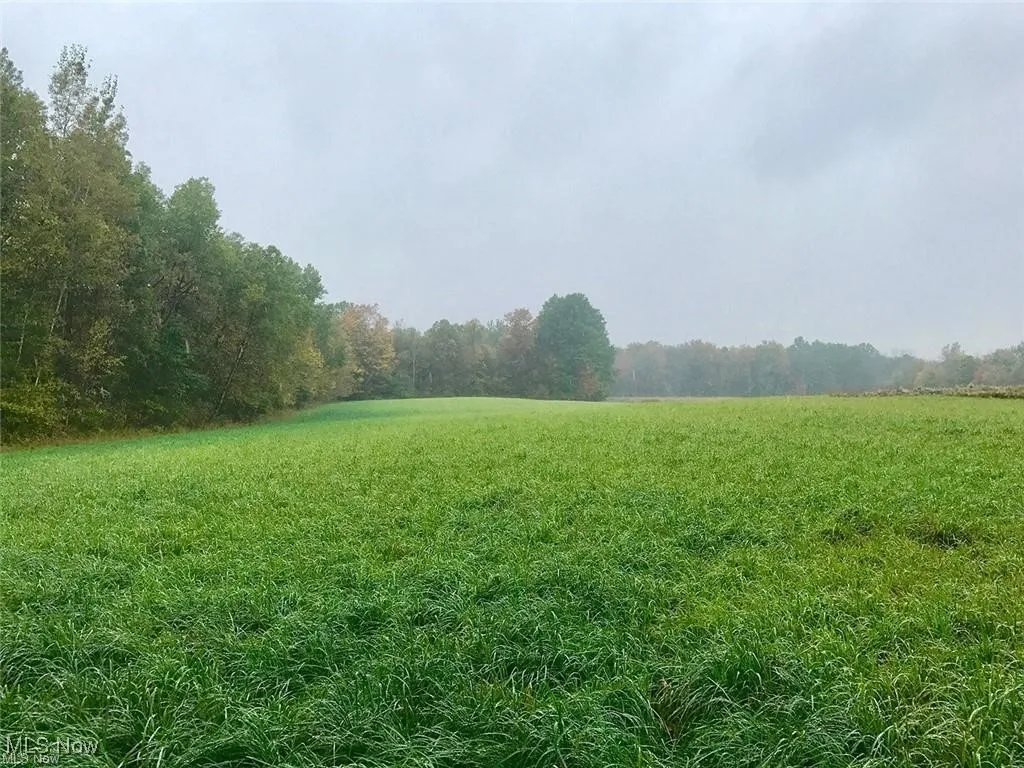 View of nature with a rural view