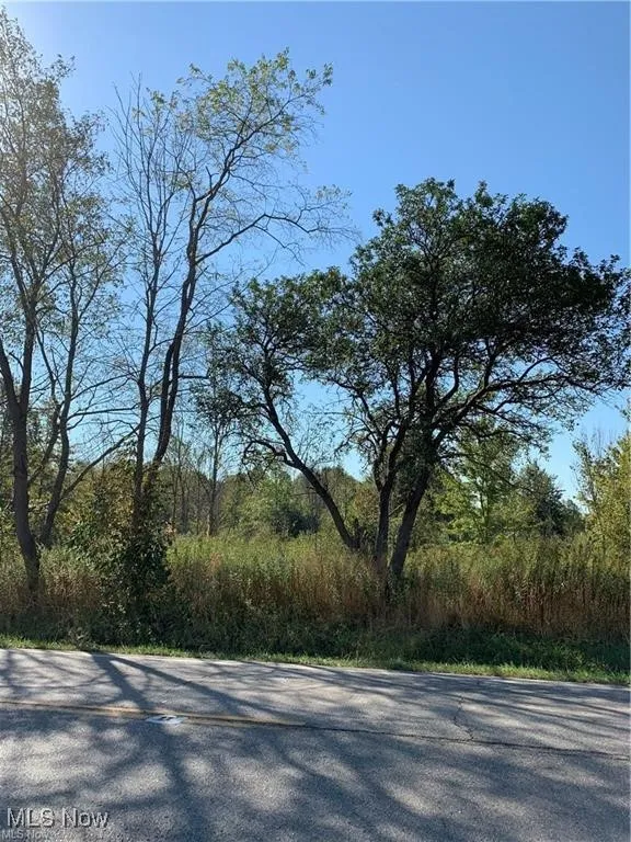 View of road