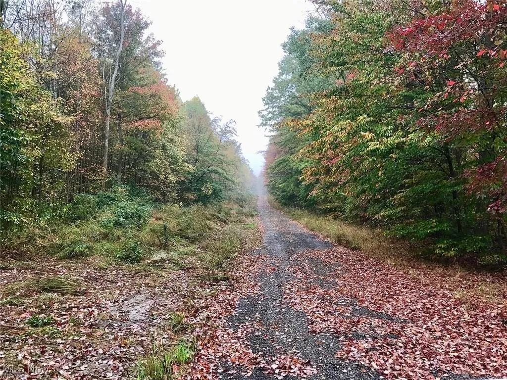 View of road