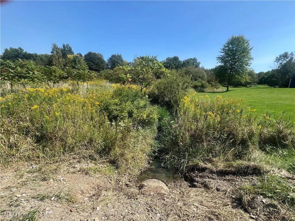 State Road, Rock Creek, Ohio,MLS Now Listing ID