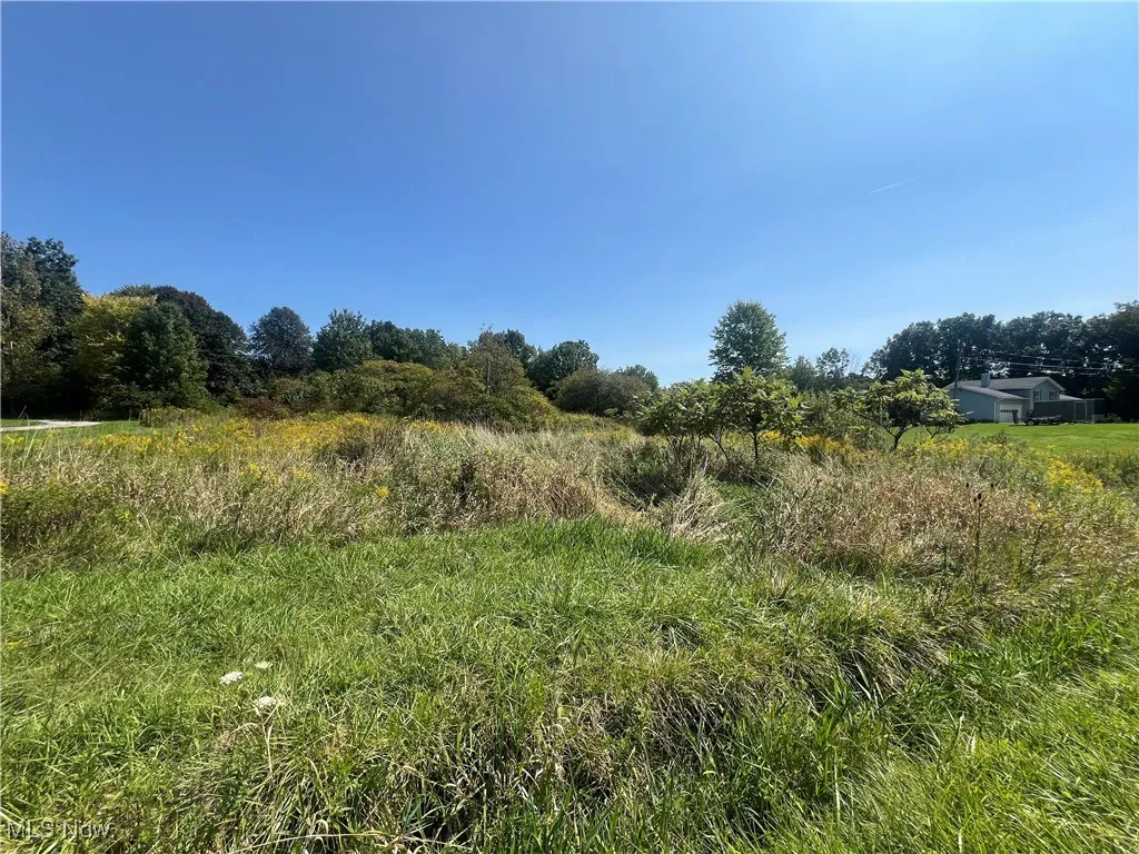 State Road, Rock Creek, Ohio,MLS Now Listing ID
