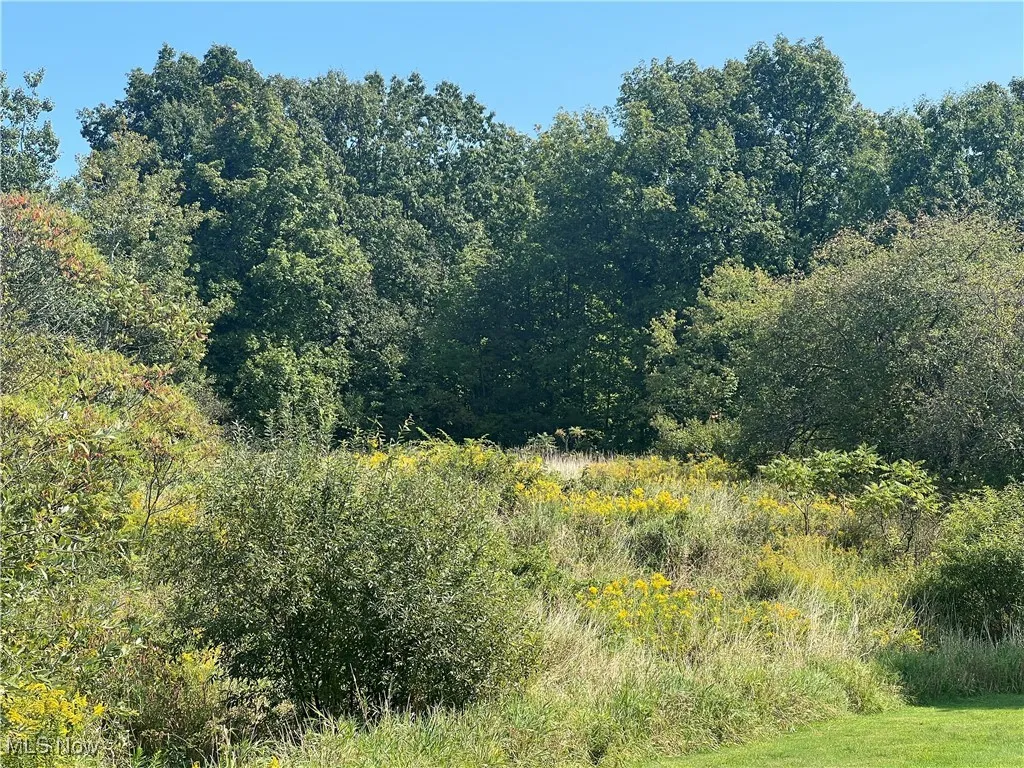 State Road, Rock Creek, Ohio,MLS Now Listing ID