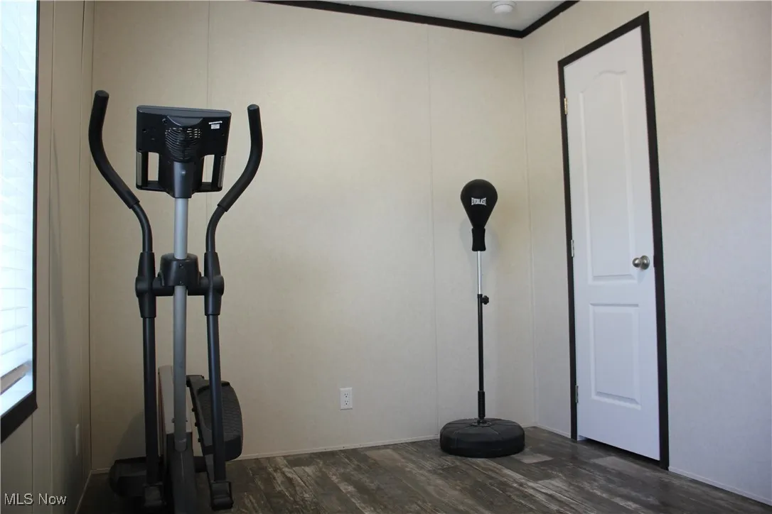 Workout room featuring dark hardwood / wood-style flooring