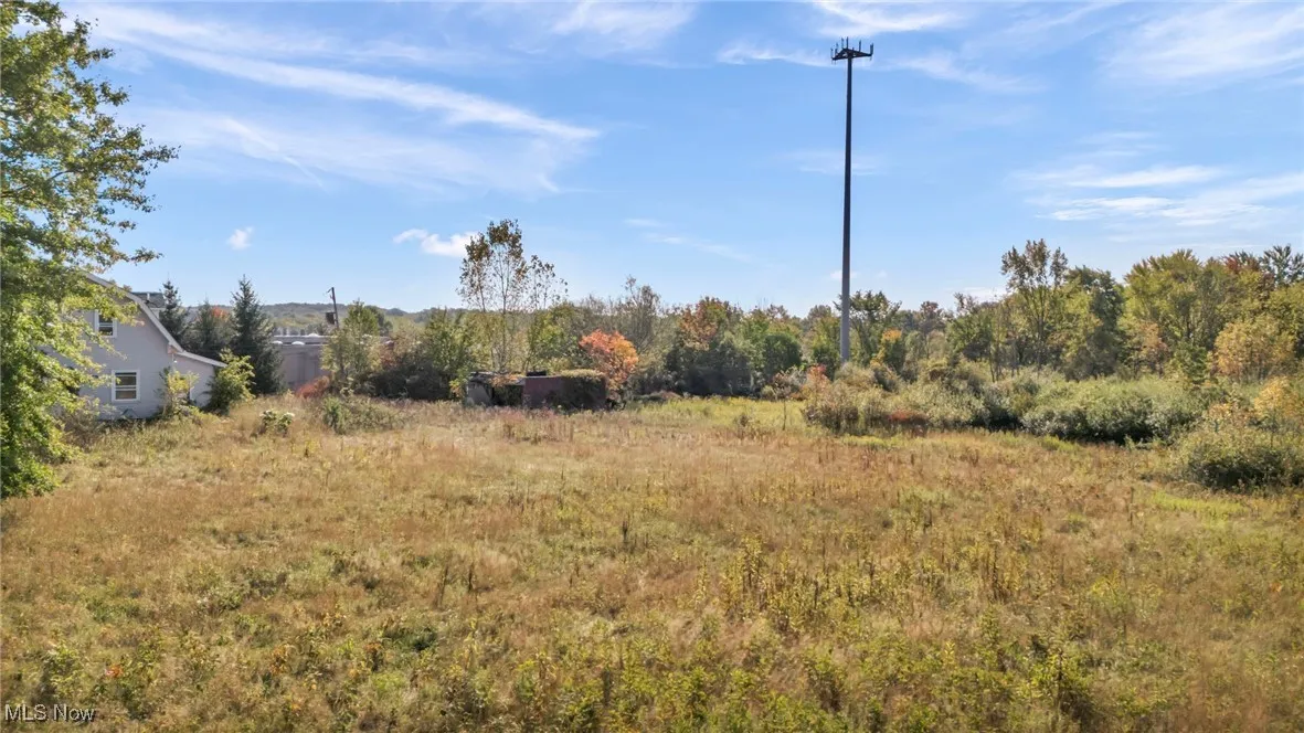 View of local wilderness