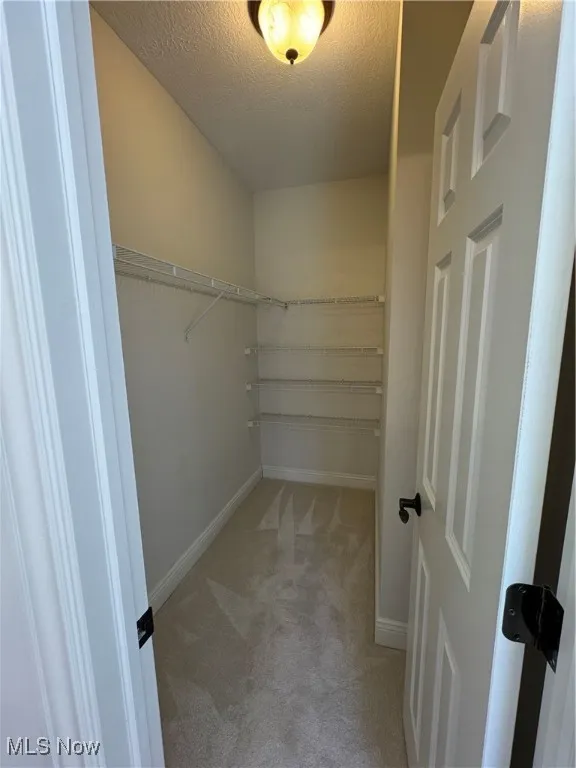 Spacious closet featuring light colored carpet