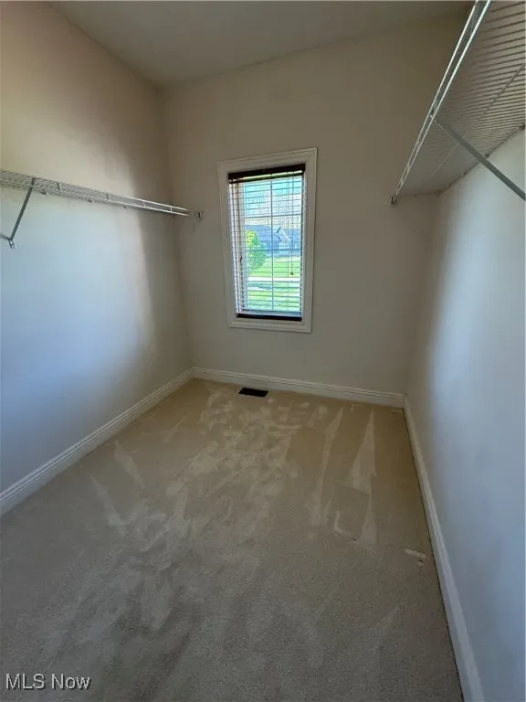 Spacious closet with carpet floors and visible vents