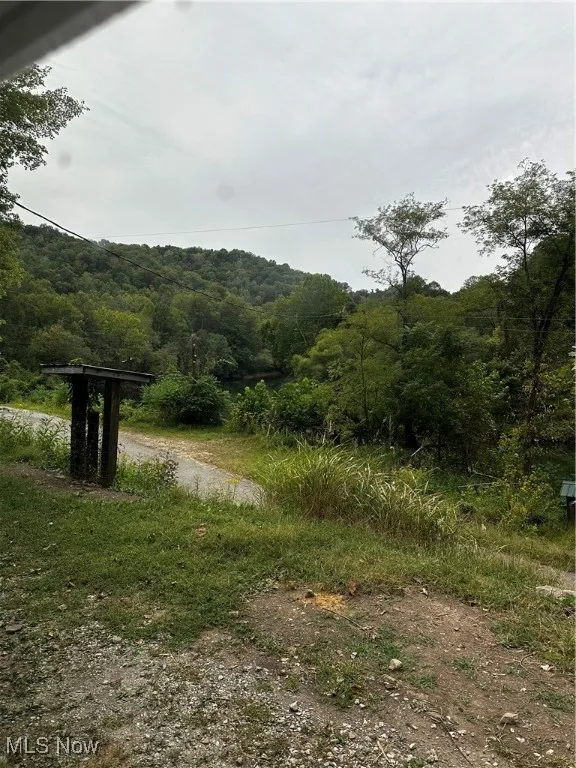 4717 Elkhurst Road, Procious, West Virginia,MLS Now Listing ID