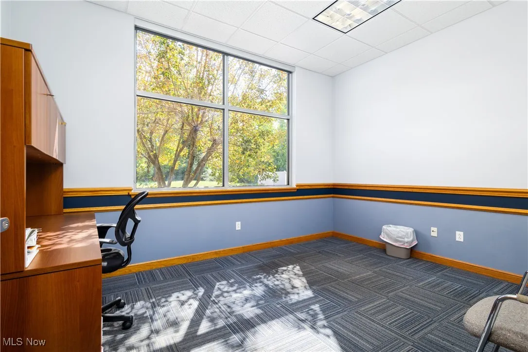 Carpeted office featuring a paneled ceiling