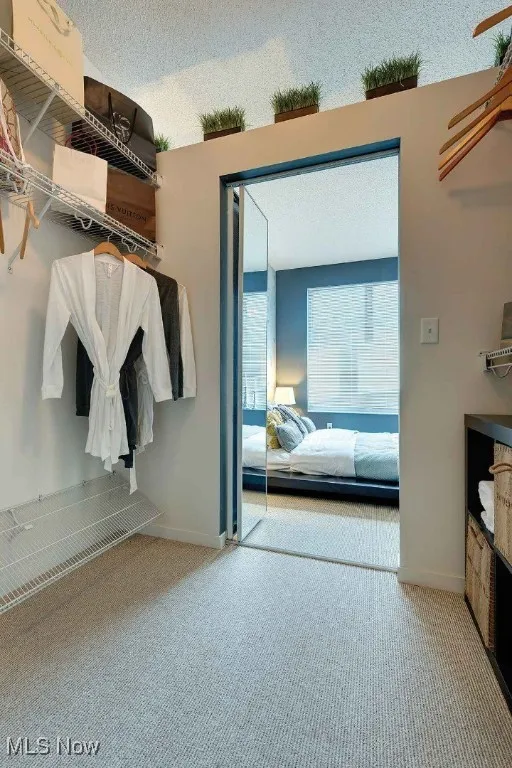 Spacious closet featuring carpet