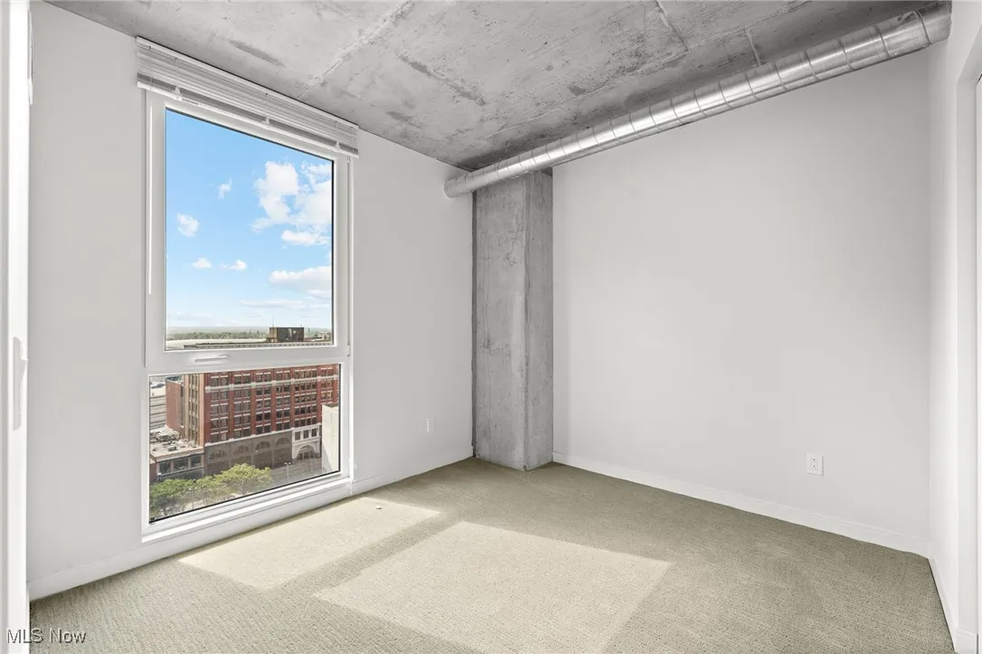 Unfurnished room with carpet floors and a healthy amount of sunlight