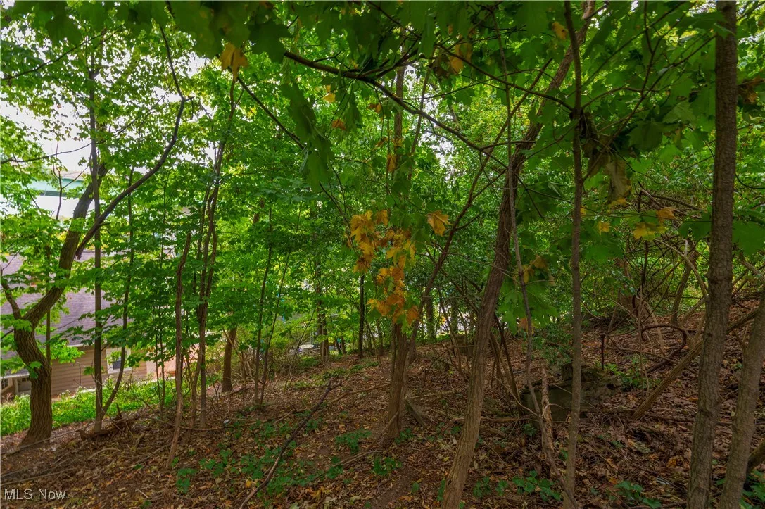 Riverdale Drive, Rocky River, Ohio,MLS Now Listing ID