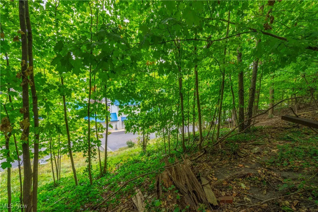 Riverdale Drive, Rocky River, Ohio,MLS Now Listing ID
