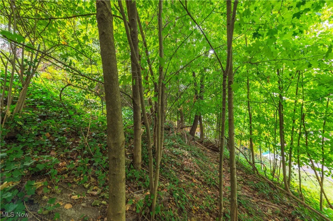 Riverdale Drive, Rocky River, Ohio,MLS Now Listing ID