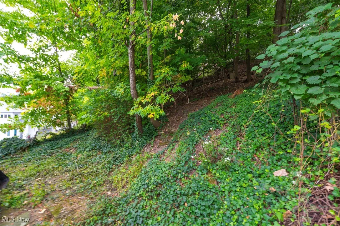 Riverdale Drive, Rocky River, Ohio,MLS Now Listing ID
