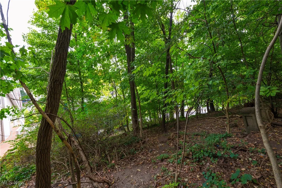 Riverdale Drive, Rocky River, Ohio,MLS Now Listing ID