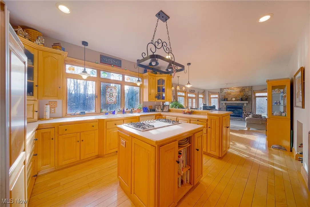 Kitchen with a kitchen island, stainless steel appliances, light wood-type flooring, and a fireplace