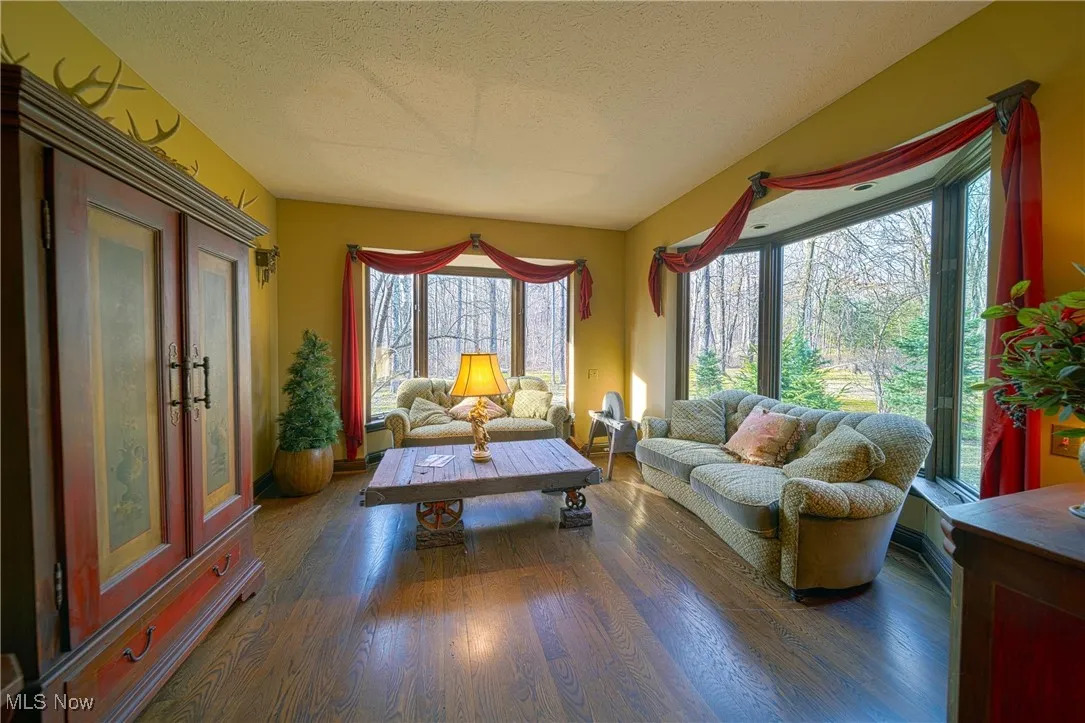Living room featuring dark hardwood / wood-style floors and a textured ceiling