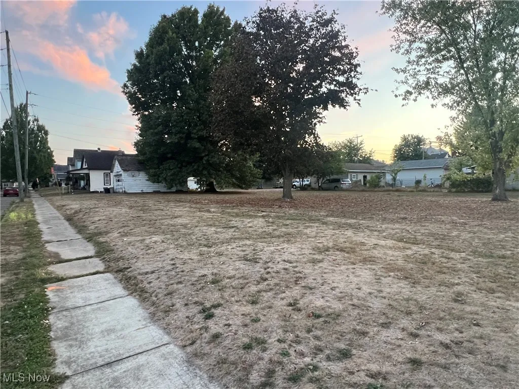 View of yard at dusk