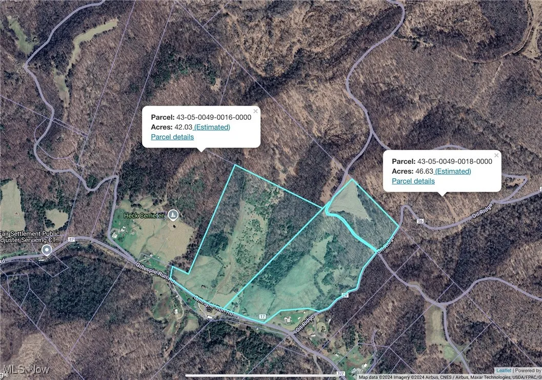 10206 Gillespie Run Road, Petroleum, West Virginia 26161,MLS Now Listing ID